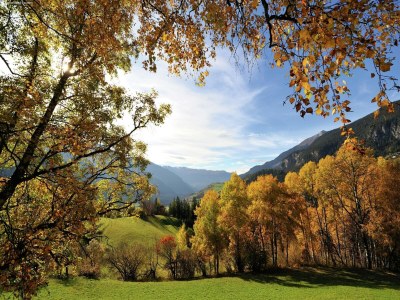 Farmhouse Ruhiger Bauernhof mit Parkplatz in Habkern - Environment photo 24