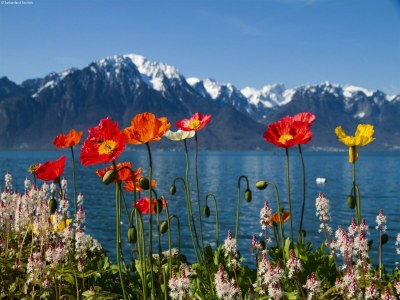 Farmhouse Ruhiger Bauernhof mit Parkplatz in Habkern - Environment photo 29