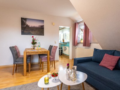 Holiday apartment Heidetraum in der Pension Heidetraum - Outdoor photo 3