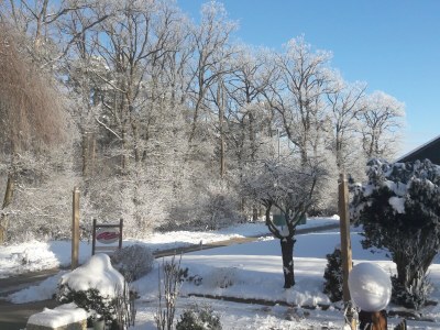 Holiday apartment Heidetraum in der Pension Heidetraum - Outdoor photo 4