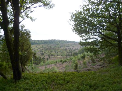 Holiday apartment Heidetraum in der Pension Heidetraum - Environment photo 19