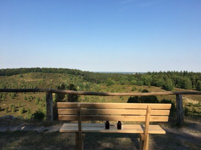 Holiday apartment Heidetraum in der Pension Heidetraum - Environment photo 21