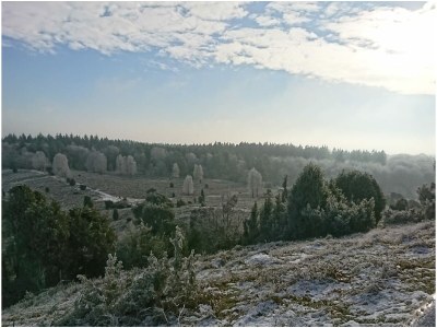 Holiday apartment Heidetraum in der Pension Heidetraum - Environment photo 22