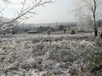 Holiday apartment Heidetraum in der Pension Heidetraum - Environment photo 30