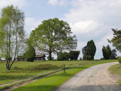 Holiday apartment Heidetraum in der Pension Heidetraum - Environment photo 31