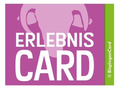 Holiday apartment Heidetraum in der Pension Heidetraum - Environment photo 34