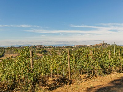 Farmhouse Belvilla by OYO San Miniato Trilocale - Environment photo 26