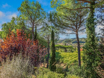 Farmhouse Belvilla by OYO San Miniato Trilocale - Environment photo 27