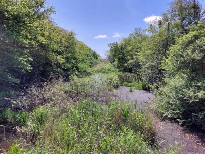 Holiday house Verzauberter Ruckzugsort in Henne Stadt-By Traum - Outdoor photo 7