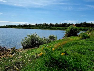 Holiday house Verzauberter Ruckzugsort in Henne Stadt-By Traum - Outdoor photo 33