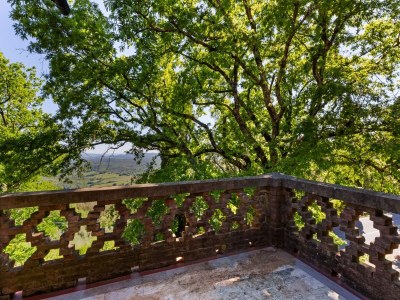 Holiday house Hübsches Ferienhaus in Pisa mit Terrasse - Outdoor photo 9
