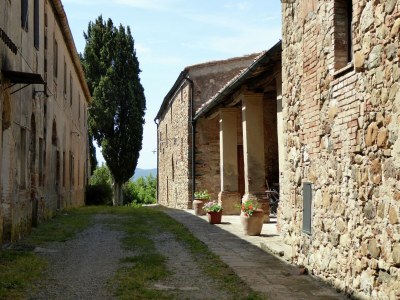 Holiday house Tuscan Charm Near Volterra - Outdoor photo 4