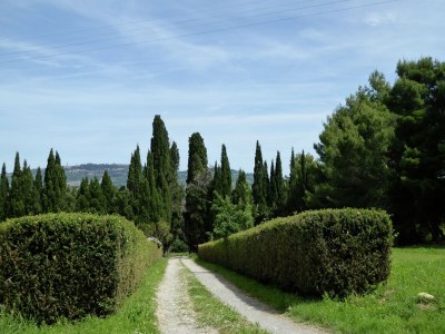Holiday house Tuscan Charm Near Volterra - Outdoor photo 6
