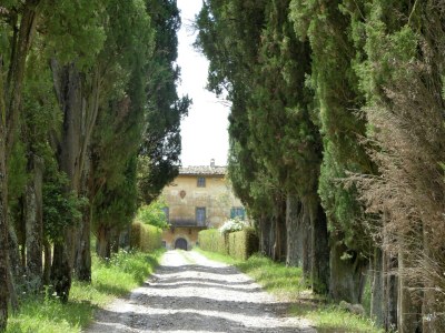 Holiday house Tuscan Charm Near Volterra - Outdoor photo 10
