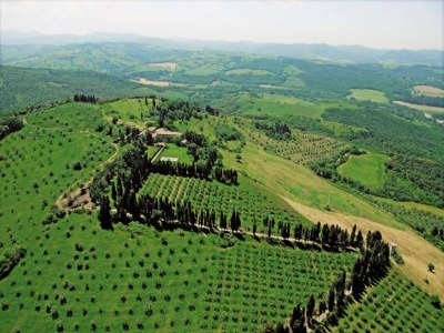 Holiday house Tuscan Charm Near Volterra - Outdoor photo 16