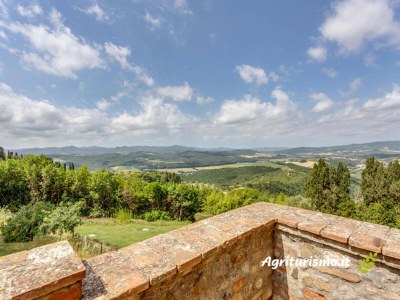 Holiday house Tuscan Charm Near Volterra - Outdoor photo 21