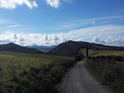 Holiday house Tuscan Charm Near Volterra - Environment photo 36