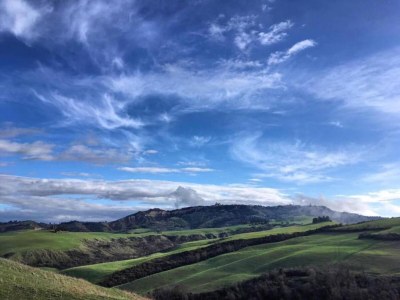 Holiday house Tuscan Charm Near Volterra - Environment photo 38