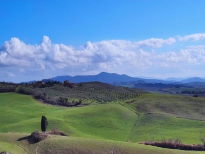 Holiday house Tuscan Charm Near Volterra - Environment photo 39