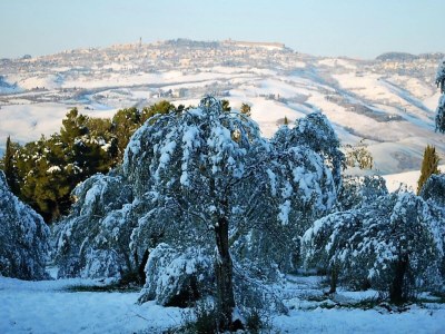 Holiday house Ferienhaus in Volterra mit Pool und Terrasse - Outdoor photo 8