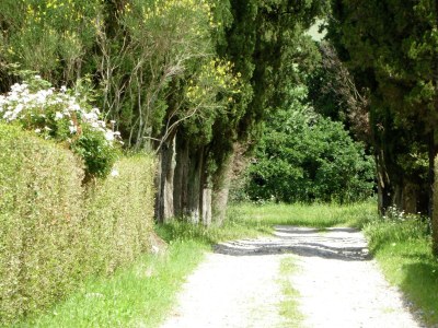Holiday house Ferienhaus in Volterra mit Pool und Terrasse - Outdoor photo 10