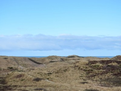 Holiday house 6 person holiday home in Henne - Outdoor photo 11