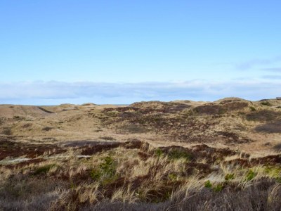 Holiday house 6 person holiday home in Henne - Outdoor photo 12