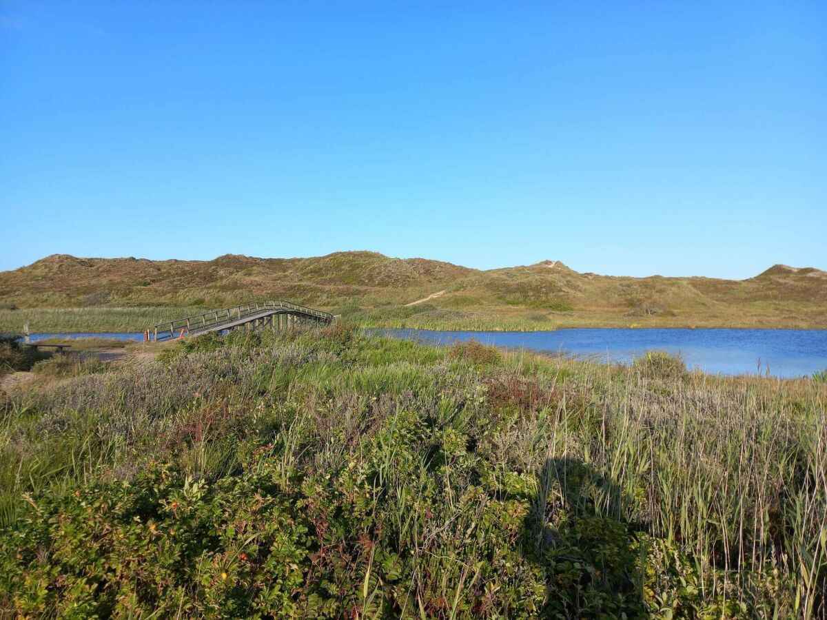 Holiday house 6 person holiday home in Henne - Outdoor photo 4