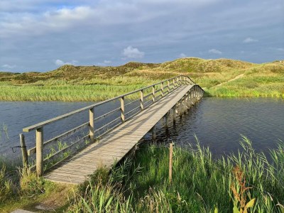 Holiday house 6 person holiday home in Henne - Outdoor photo 20