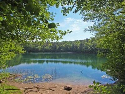 Holiday park 4 Personen Ferienhaus in Hasle - Outdoor photo 15