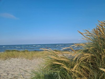 Holiday house Meerblick Ruckzugsort -- By Traum Ferienwohnungen - Outdoor photo 41
