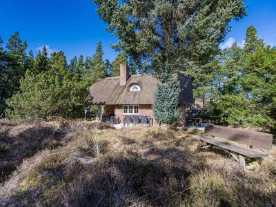 Holiday house 6 person holiday home in Blåvand - Outdoor photo 4