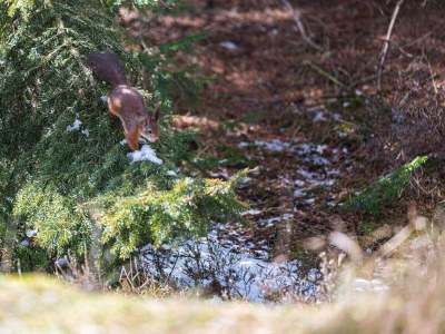 Holiday house 6 person holiday home in Blåvand - Outdoor photo 6
