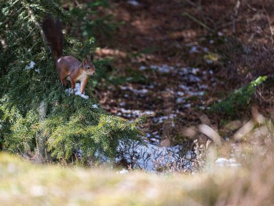 Holiday house 6 person holiday home in Blåvand - Outdoor photo 7