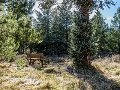 Holiday house 6 person holiday home in Blåvand - Outdoor photo 13