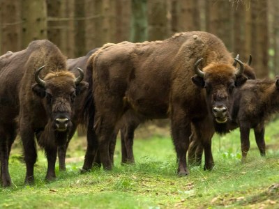 Holiday park 4 person holiday home in Rønne - Outdoor photo 20