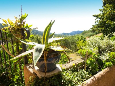 Villa Luxuriöse Villa in Tanneron mit privatem Pool - Outdoor photo 14