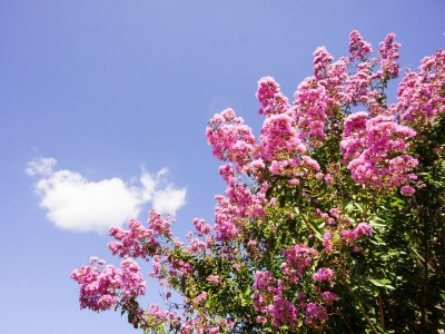 Villa Luxuriöse Villa in Tanneron mit privatem Pool - Outdoor photo 36