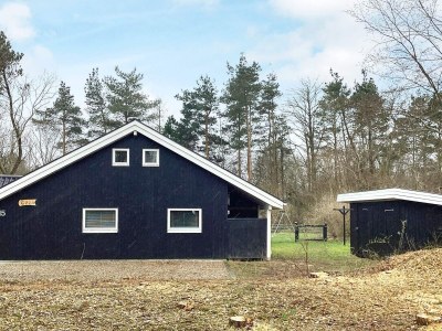 Holiday house Helle and moderne Hutte in Jegum-By Traum - Outdoor photo 12