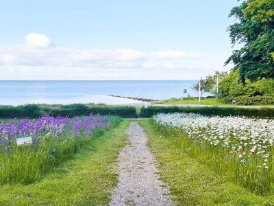 Holiday house Meeresgluck in Nysted -- By Traum Ferienwohnungen - Outdoor photo 24