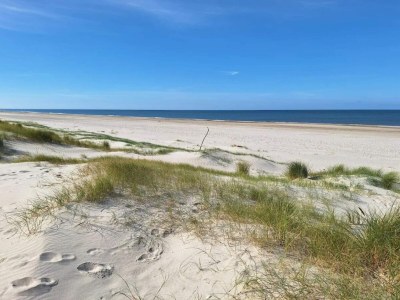 Holiday house 8 person holiday home in Nørre Nebel - Outdoor photo 8