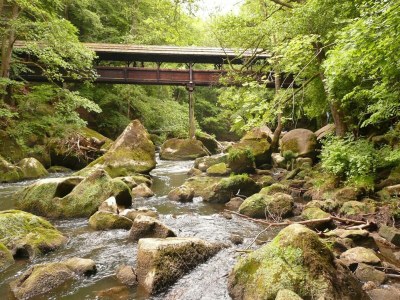 Apartment Moderne Ferienwohnung in Weinsheim mit Terrasse - Environment photo 20