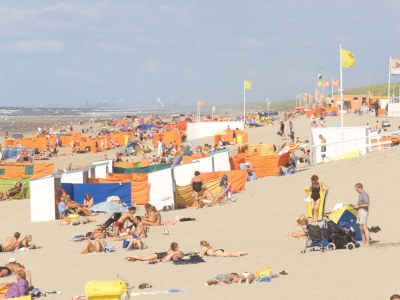 Bungalow Den - Environment photo 9