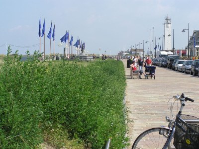 Bungalow Den - Environment photo 10