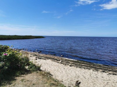 Holiday house 6 person holiday home in Tarm - Outdoor photo 26