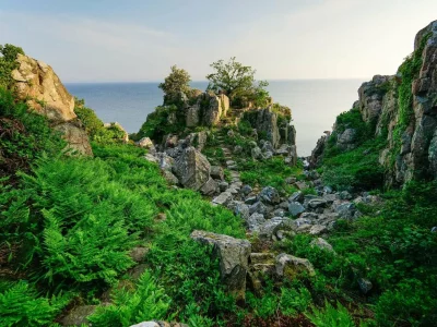 Holiday park 6 Personen Ferienhaus in Allinge - Outdoor photo 22