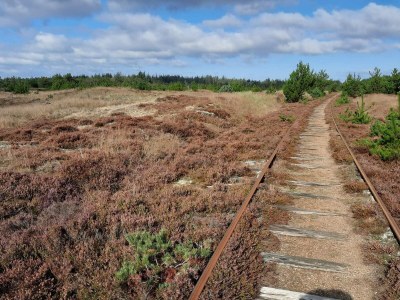Holiday house 4 person holiday home in Nørre Nebel - Outdoor photo 21