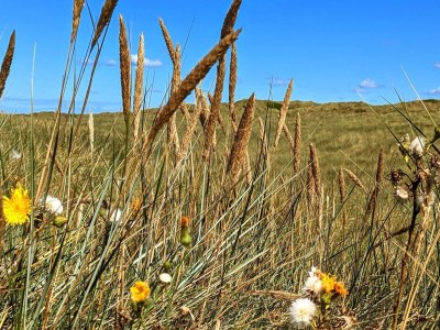Holiday house 4 person holiday home in Nørre Nebel - Outdoor photo 22