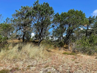 Holiday house 4 person holiday home in Nørre Nebel - Outdoor photo 23