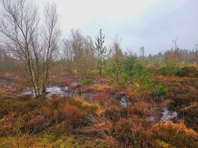 Holiday house 4 person holiday home in Nørre Nebel - Outdoor photo 33